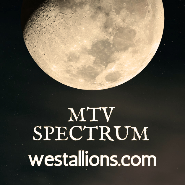 MTV Channel on Spectrum